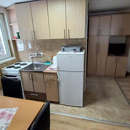 Kopaonik Apartman Aleksandar Екстериор снимка